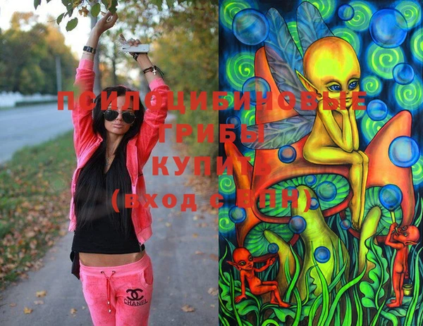 PSILOCYBIN Карпинск