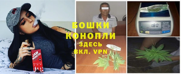 амф Касимов