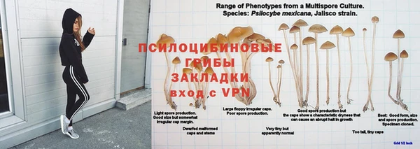 PSILOCYBIN Карпинск
