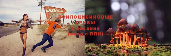 PSILOCYBIN Карпинск