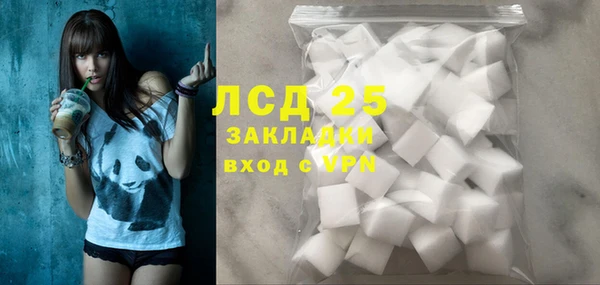 PSILOCYBIN Карпинск