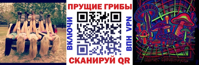 Купить закладки  Избербаш  Псилоцибиновые грибы мицелий 